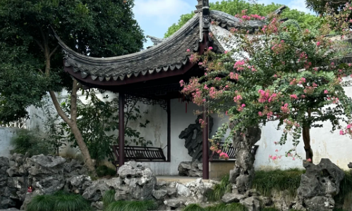 Spring Dawn at the Peony Hall-suzhou